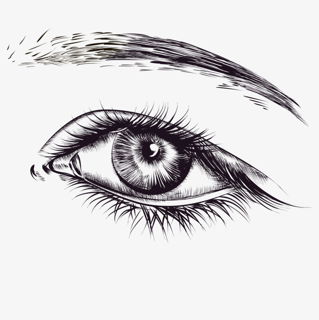 650x651 Vector A Pair Of Eyes, Female, Bright Eyes, Decoration Png And - Bright Eyes Sketch