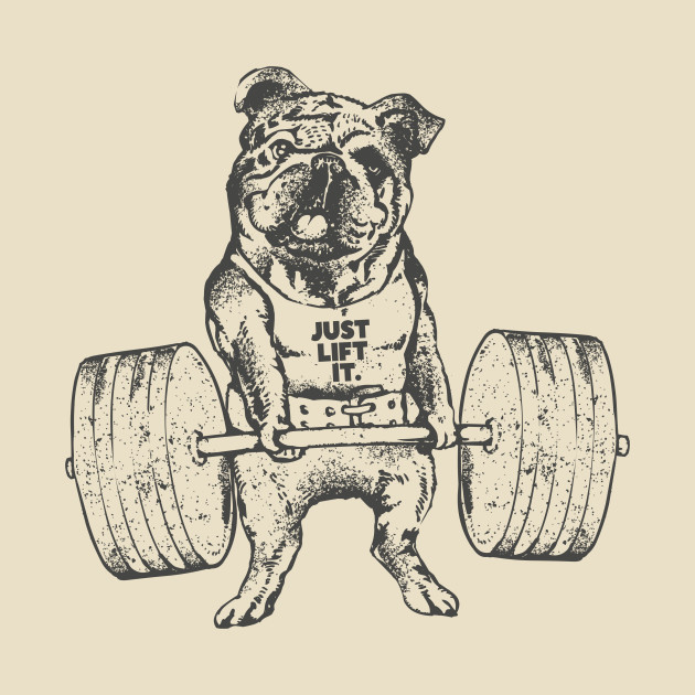 630x630 English Bulldog Lift - British Bulldog Sketch