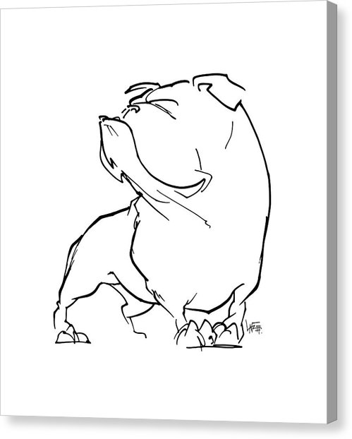 499x622 English Bulldog Canvas Prints Fine Art America - British Bulldog Sketch