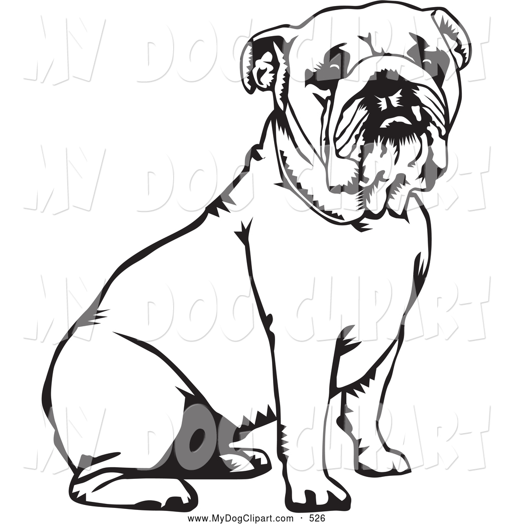 1024x1044 Bulldog Clipart Sketch Cute Borders, Vectors, Animated, Black And - British Bulldog Sketch