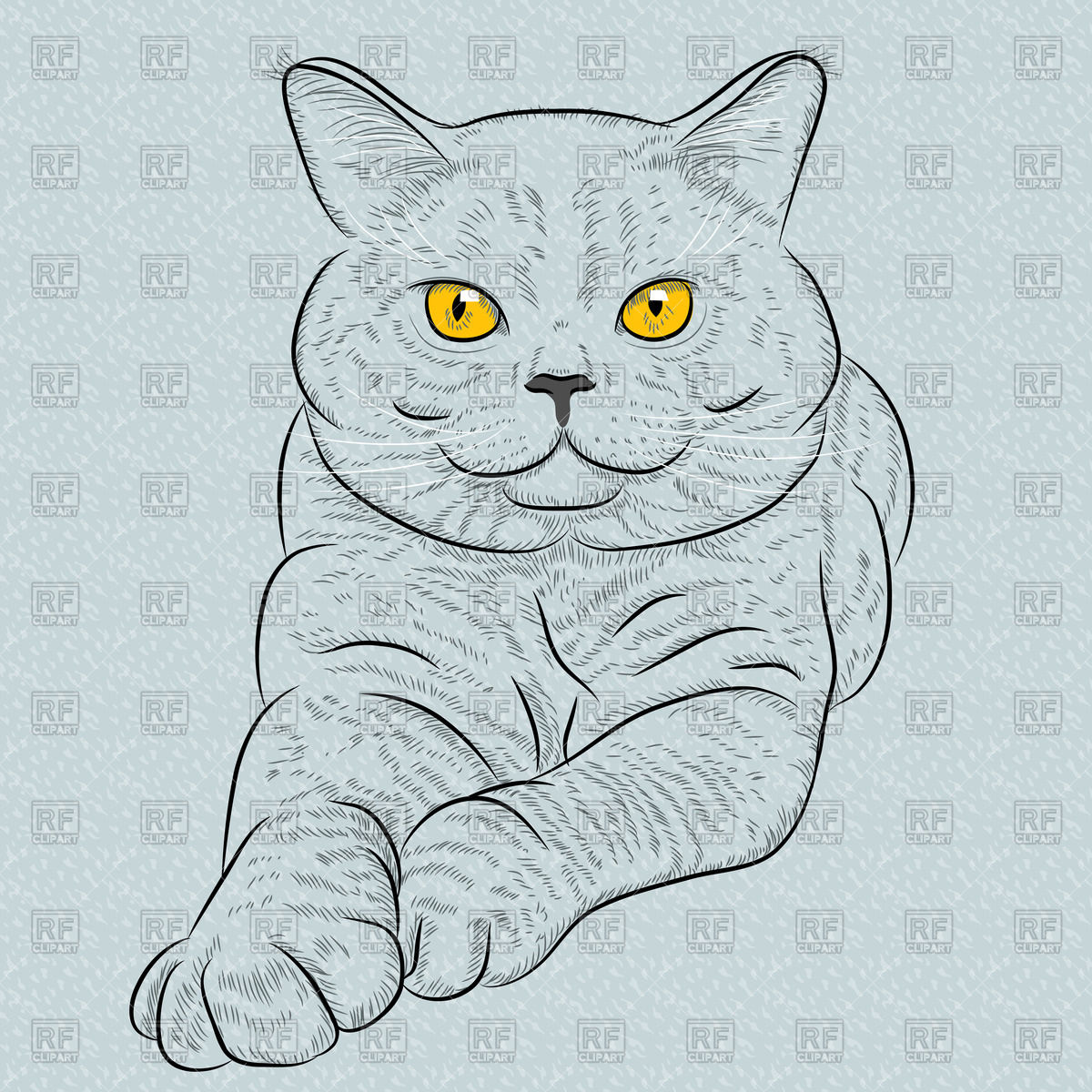 1200x1200 Sketch Of British Shorthair Blue Cat With Yellow Eyes Vector Image - British Sketch