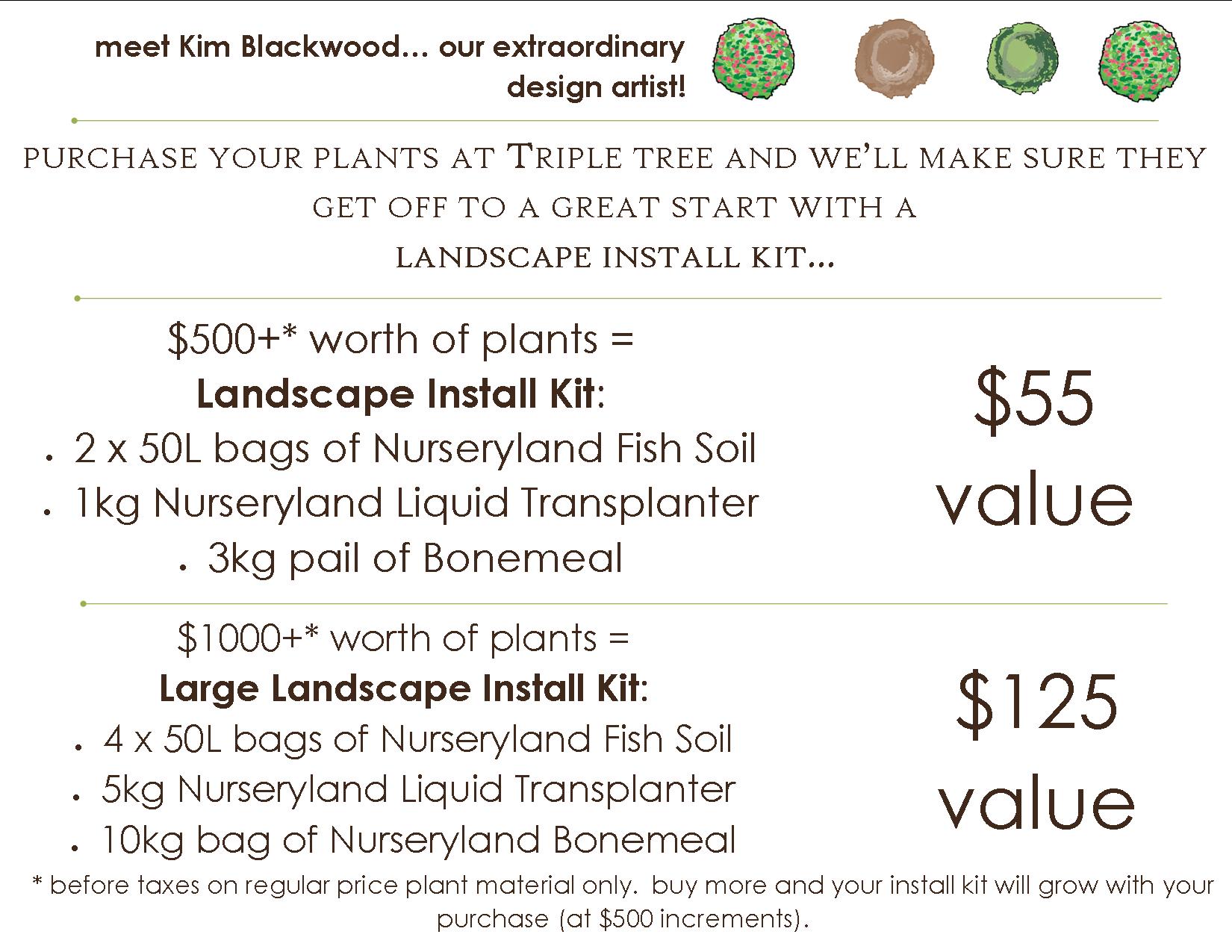 1650x1275 Landscape Sketch - Brochure Sketch