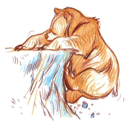 450x438 Des Ours - Brother Bear Sketches