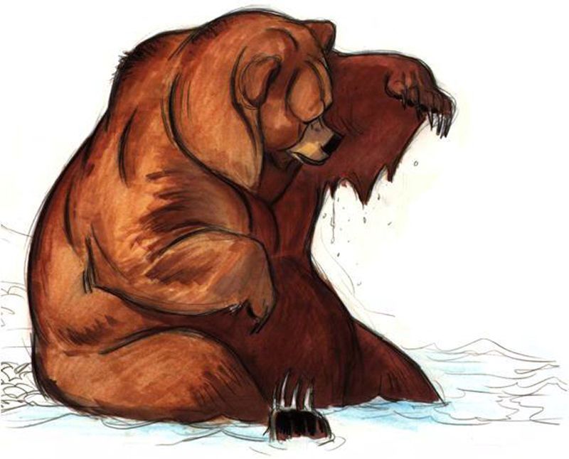 800x646 Brother Bear Sketch 1 Bear Sketch, Sketches And - Brother Bear Sketches