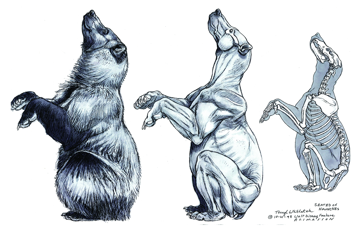 Brother Bear Sketches at PaintingValley.com | Explore collection of ...