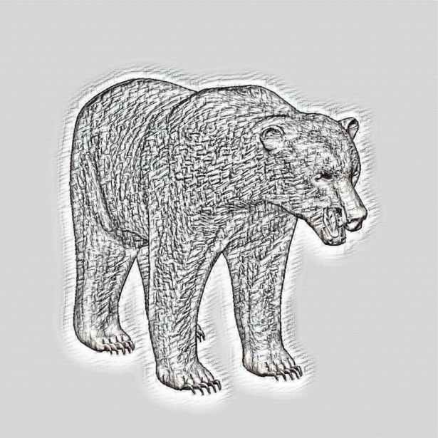 615x615 Brown Bear Sketch Free Stock Photo - Brown Bear Sketch