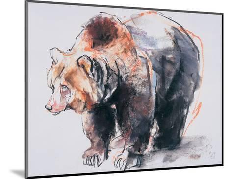 473x365 European Brown Bear, 2001 Giclee Print By Mark Adlington - Brown Bear Sketch