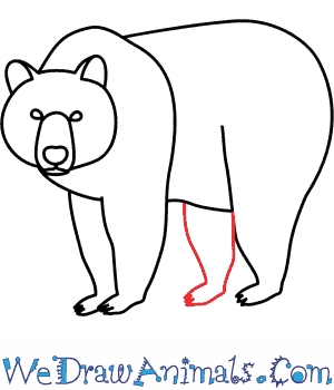 300x350 How To Draw A Brown Bear - Brown Bear Sketch
