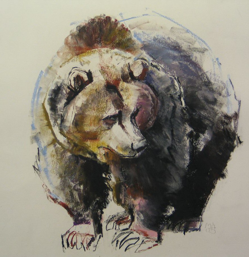 876x904 Mark Adlington - Brown Bear Sketch