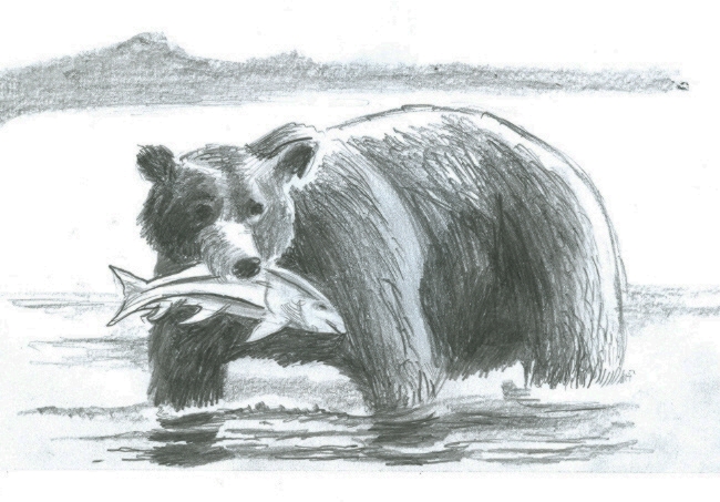 650x453 The Kodiak Brown Bear By Ricky Roo302 - Brown Bear Sketch