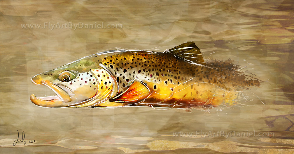 1008x530 Rainbow Trout Iv - Brown Trout Sketch