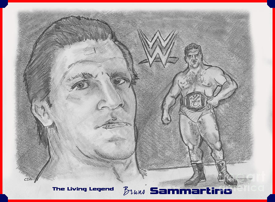 900x664 Bruno Sammartino The Living Legend Drawing By Chris Delvecchio - Bruno Sketch