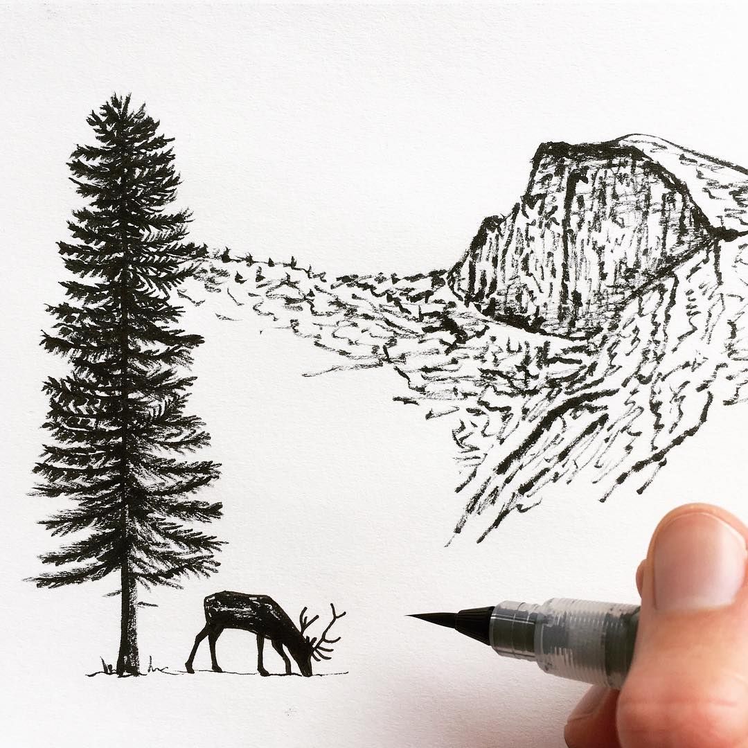 1080x1080 Brush Pen Sketch By Sarah Lokke. - Brush Pen Sketch