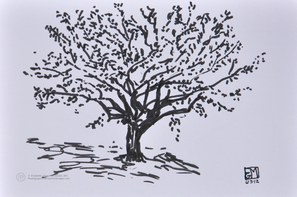 1024x681 Brush Pen Sketch Of A Tree - Brush Pen Sketch