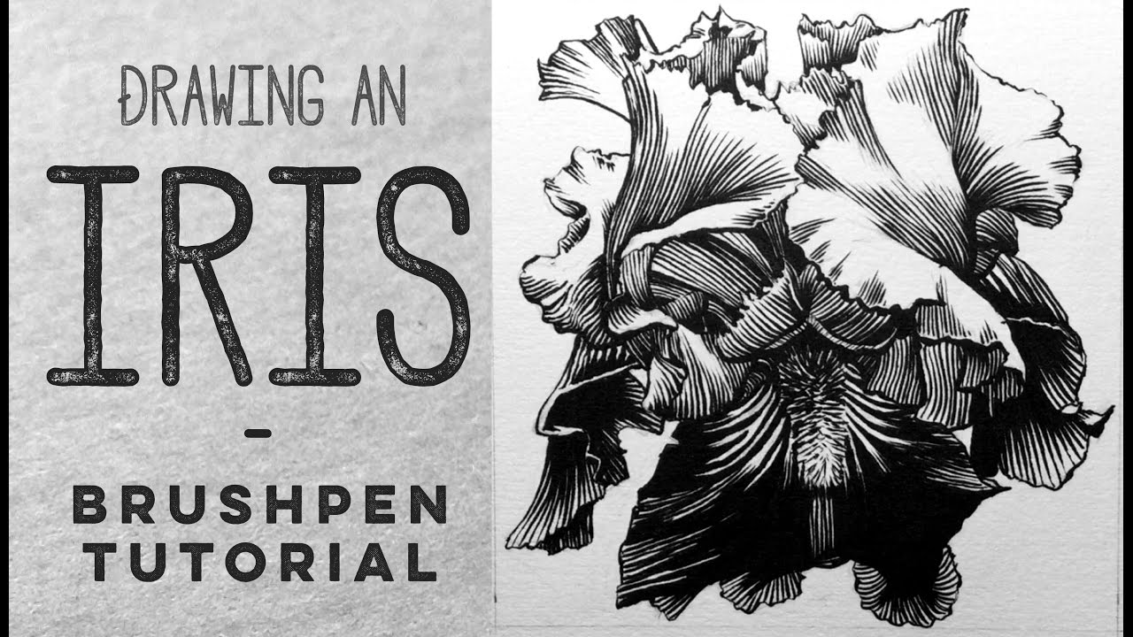 1280x720 How To Draw With A Brush Pen - Brush Pen Sketch