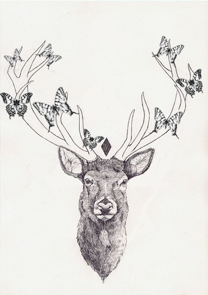 700x992 Drawn Whale Deer - Buck Head Sketch
