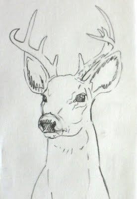 276x400 Oh Deer Buck Head Drawings Drawings, Drawing Ideas - Buck Head Sketch