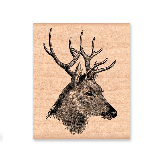 570x570 Deer Rubber Stamp Buck Stag Headsketchillustrationwood Etsy - Buck Head Sketch