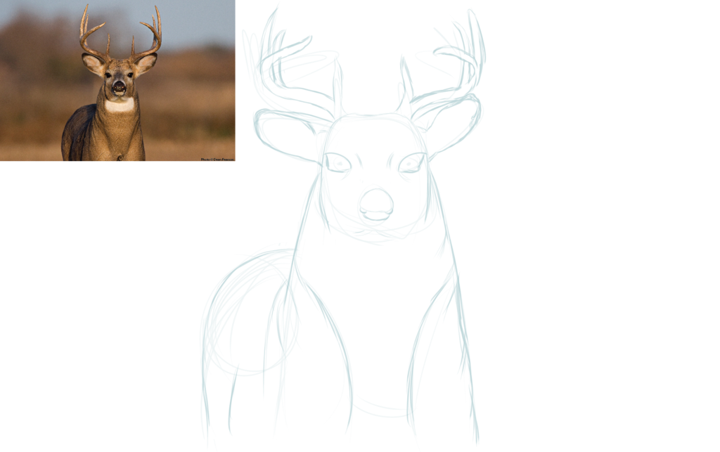 1024x643 Buck Sketch By Dakvh - Buck Sketch
