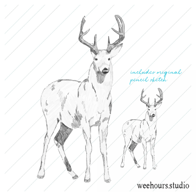 690x690 Free Buck Deer Sketch, Vector For By Wee Hours Studio On Zibbet - Buck Sketch