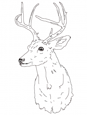 338x450 Free Standing Sculpture Chris Lattanzio - Buck Sketch