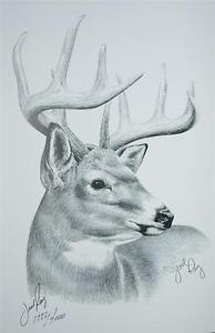 194x300 Signed Numbered Lithograph Jesse Ray Whitetail Buck Profile Pencil - Buck Sketch