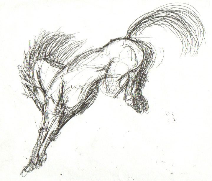 719x614 Bucking Horse Sketch By Skymouth - Bucking Horse Sketch