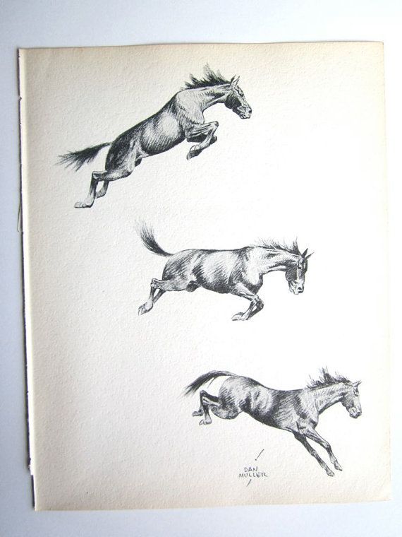 570x760 Bronco Bucking Bronco Horse Sketch Vintage Horses By Booksygirl - Bucking Horse Sketch