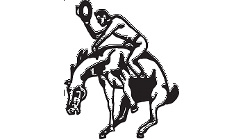 350x200 Cowboy On A Bucking Horse Decal - Bucking Horse Sketch
