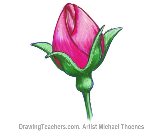 550x447 How To Draw A Rosebud - Bud Sketch