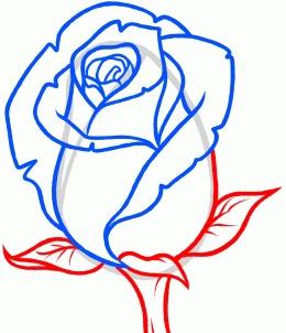 260x302 How To Sketch A Rose - Bud Sketch
