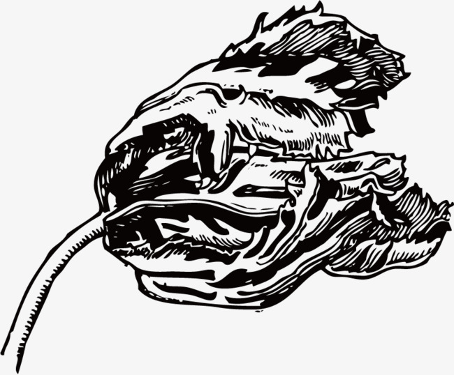 650x538 Vector Sketch Bud, Sketch, Bud, Hand Painted Png And Vector For - Bud Sketch