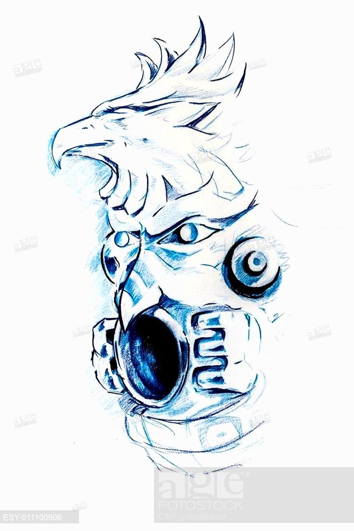 699x1049 American Indian Totem, Sketch Of Tattoo, Stock Photo, Picture And - Budget Sketch