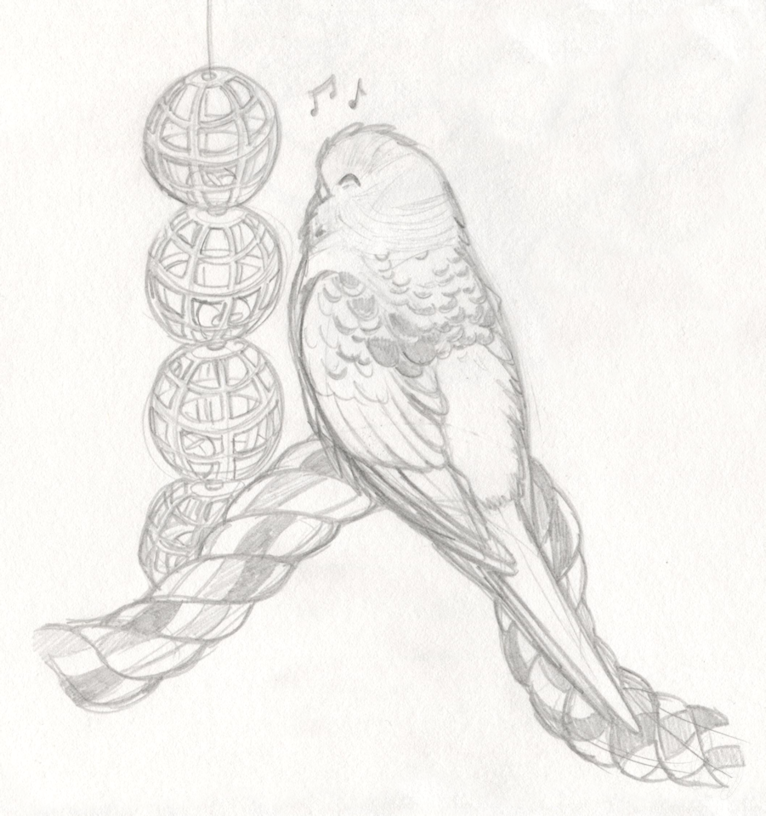 766x816 Milo Budgie - Budgie Sketch