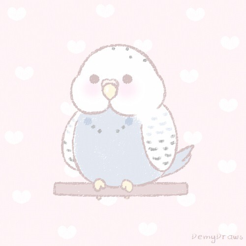 500x500 Budgie Drawing Tumblr - Budgie Sketch