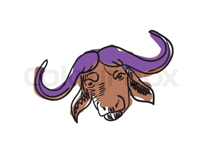 800x590 Buffalo Head Hand Drawn Icon Isolated On White Background Vector - Buffalo Head Sketch
