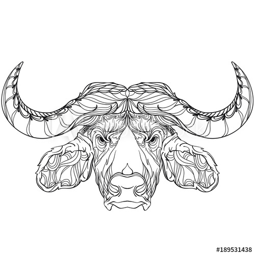 500x500 Buffalo Head With Abstract Ornament. Tattoo Art, Vector - Buffalo Head Sketch