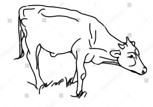 300x210 Bull Side View Outline Sketch Buffalo Head Silhouette At - Buffalo Head Sketch