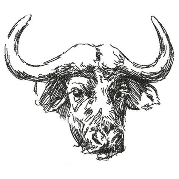 Buffalo Head Sketch at PaintingValley.com | Explore collection of