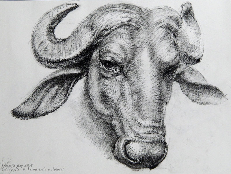 800x605 Two More Buffalo Head, Fisher Girl - Buffalo Head Sketch