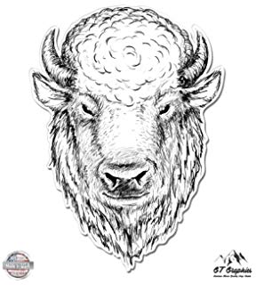 288x320 Buffalo Sketch - Buffalo Head Sketch