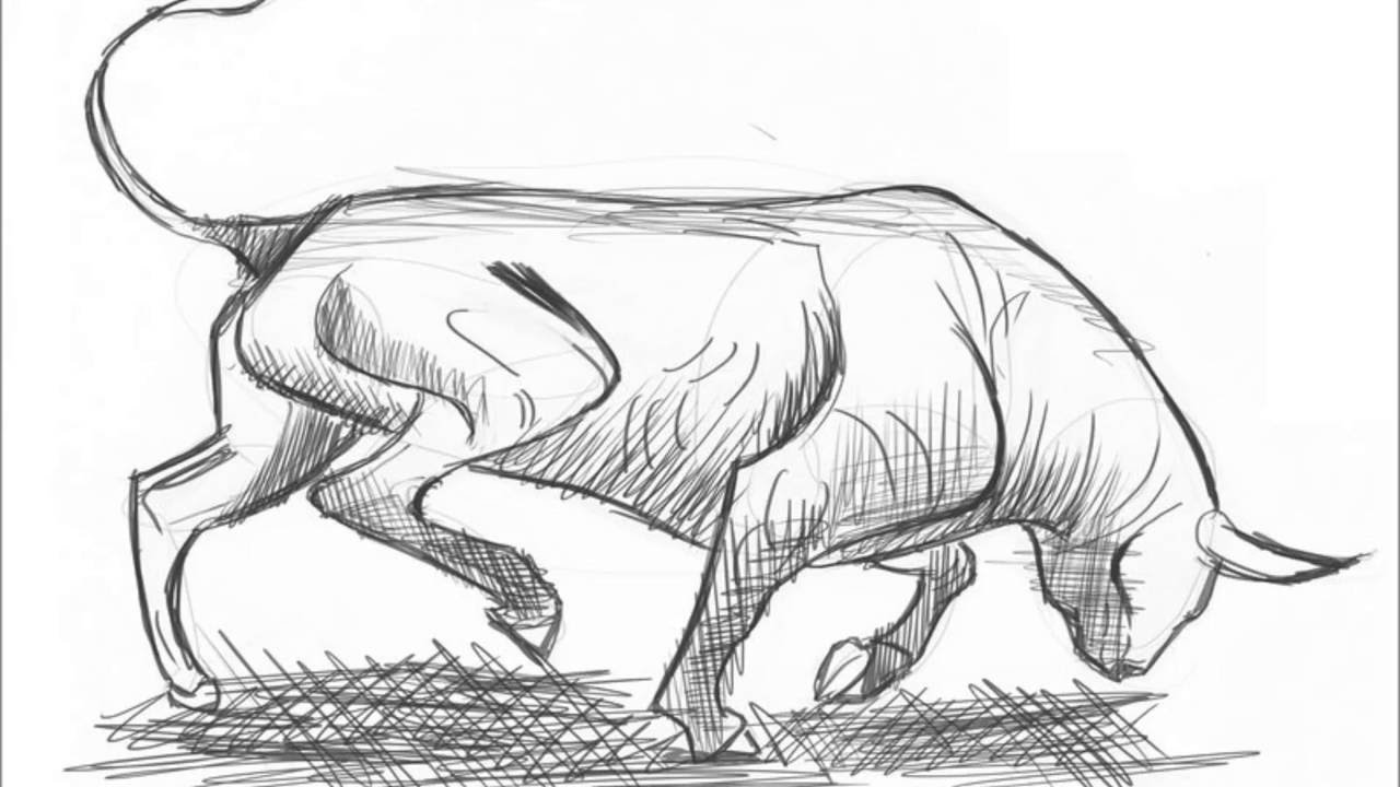 1280x720 How To Draw A Buffalo - Buffalo Sketch