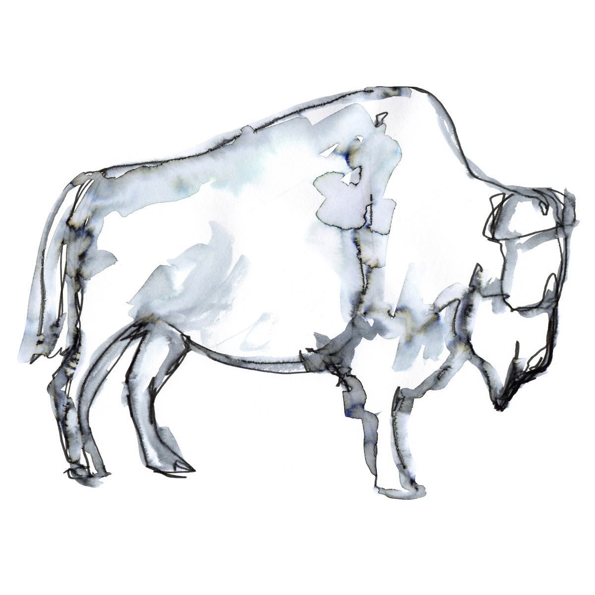1200x1200 Blue Buffalo Sketch Canvas Art - Buffalo Sketch