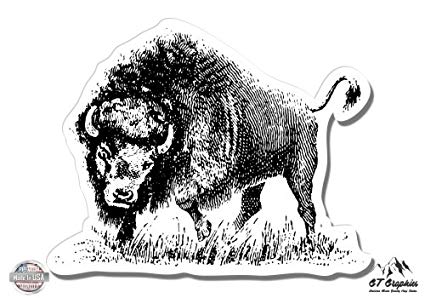 425x298 Buffalo Sketch - Buffalo Sketch Images