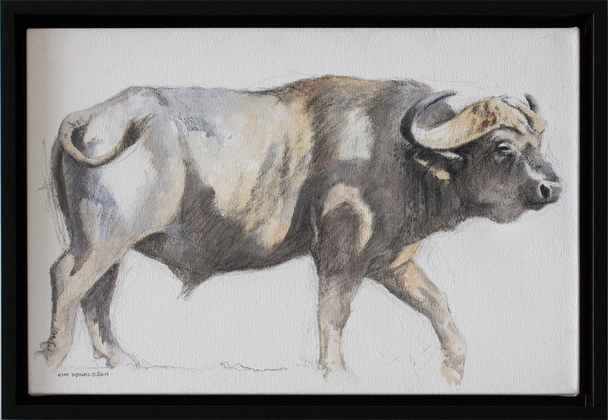 1200x829 Sold - Buffalo Sketch Images