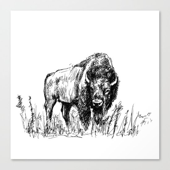 550x550 Buffalo Sketch Canvas Print By Emilydesantis Society6 - Buffalo Sketch Images