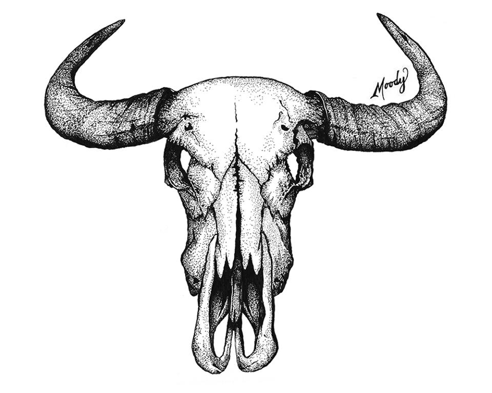 Buffalo Skull Sketch At PaintingValley Com Explore Collection Of Buffalo Skull Sketch