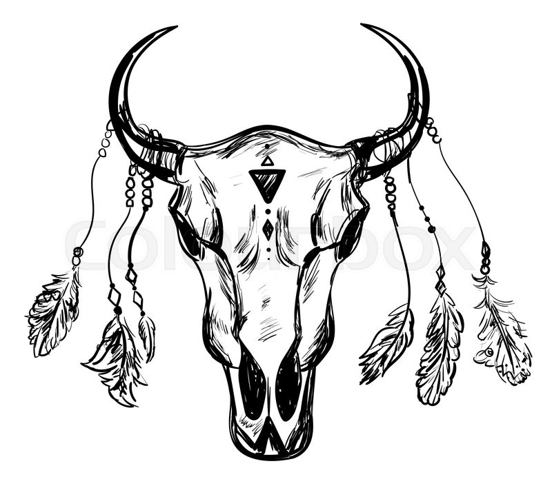 800x708 Buffalo Skull With Feathers. Hand Drawn Sketch. Native American - Buffalo Skull Sketch