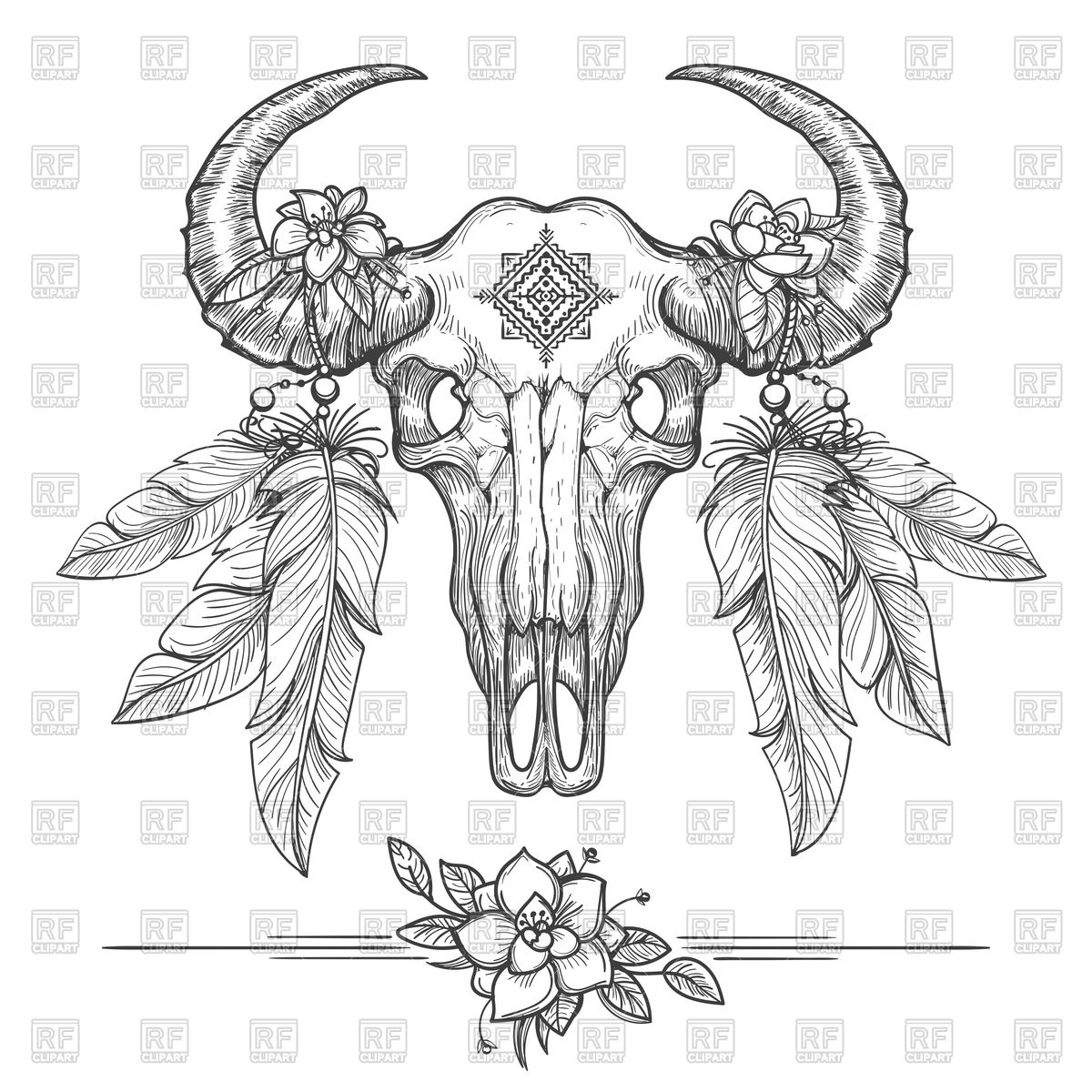 1200x1200 Buffalo Skull - Buffalo Skull Sketch