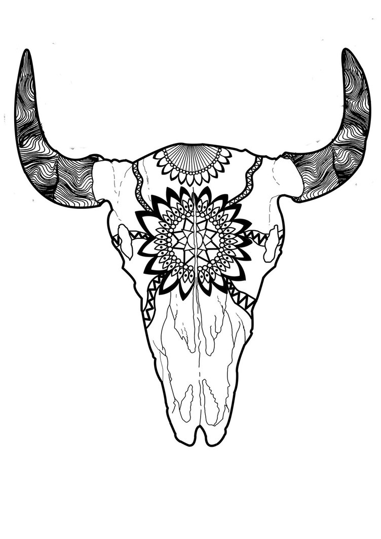 752x1063 Drawn Bulls Buffalo Skull - Buffalo Skull Sketch